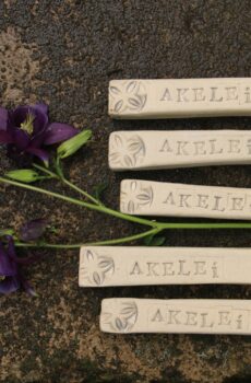 KräuterStecker "Akelei"